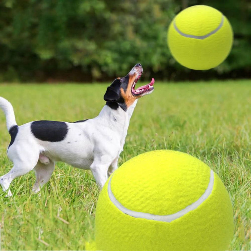 Tênis Ball - A gigante bola para cães